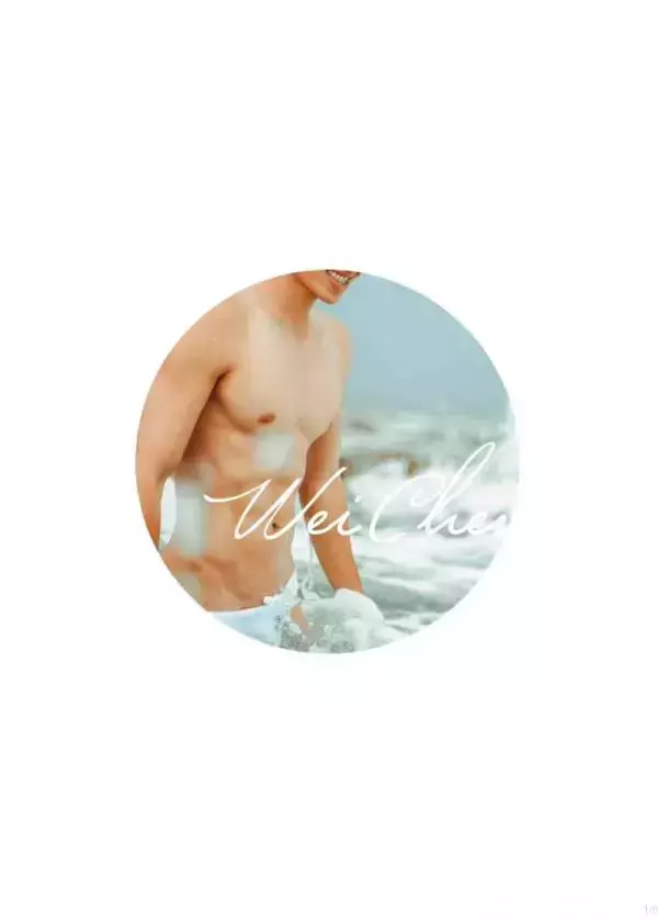 璞玉印象 no.15 Wei Chen