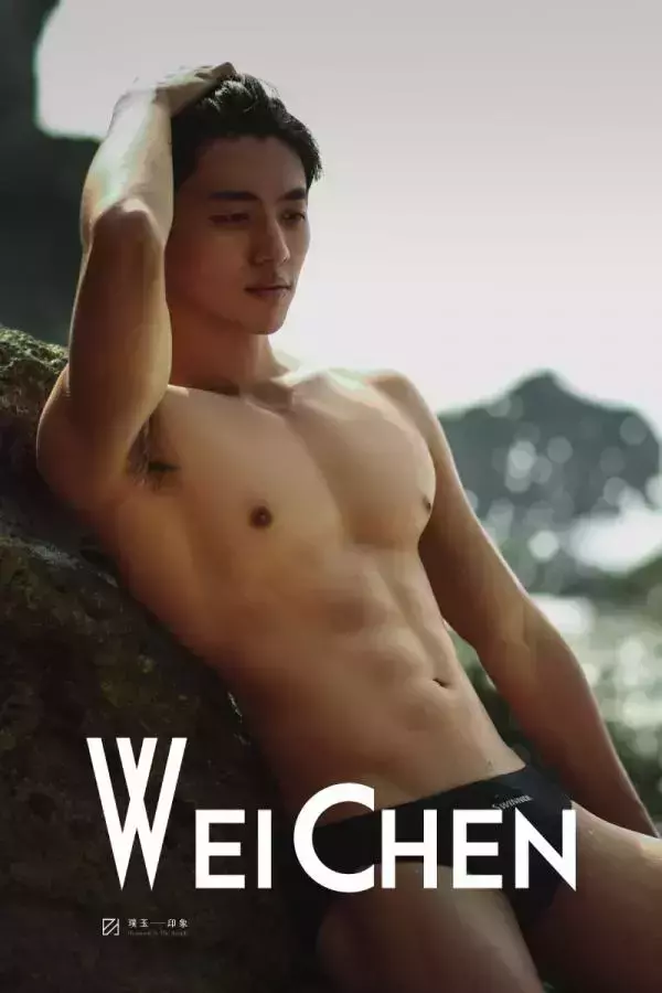 璞玉印象 no.15 Wei Chen