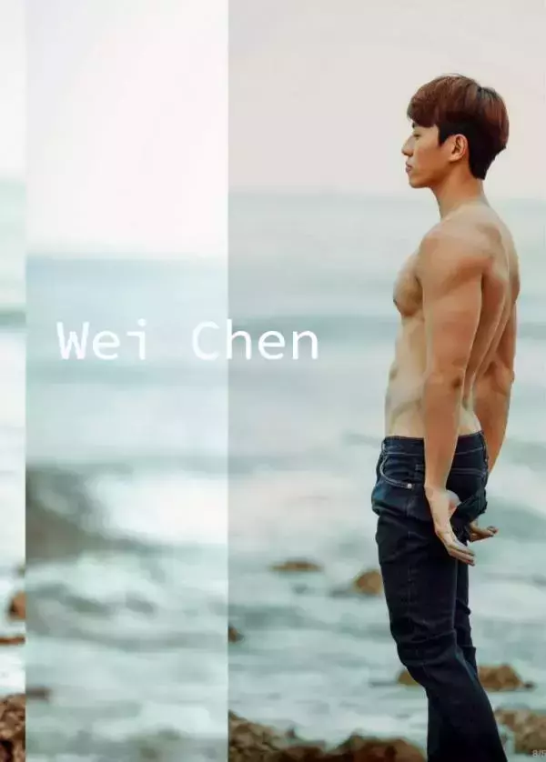 璞玉印象 no.15 Wei Chen