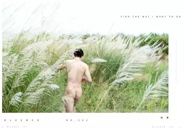 Blue Men no.262 (ebook +  video)