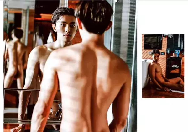璞玉印象 no.15 Wei Chen