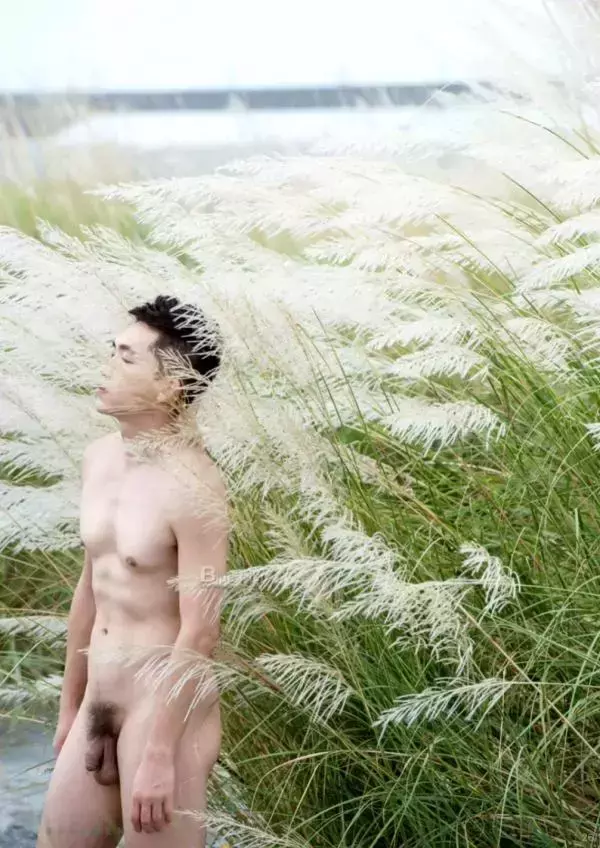 Blue Men no.262 (ebook +  video)