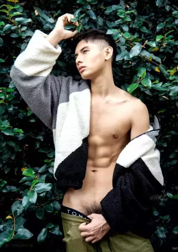 Virile no.46 (ebook + video)