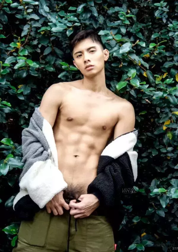 Virile no.46 (ebook + video)
