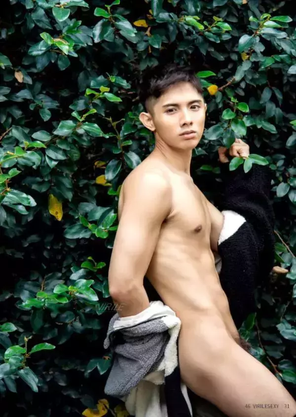 Virile no.46 (ebook + video)