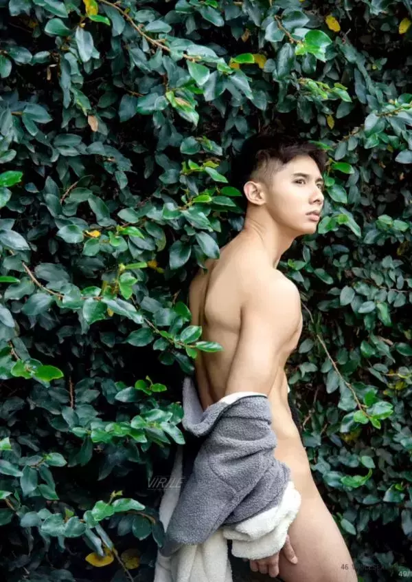Virile no.46 (ebook + video)
