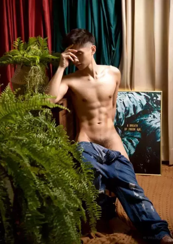 Virile no.46 (ebook + video)