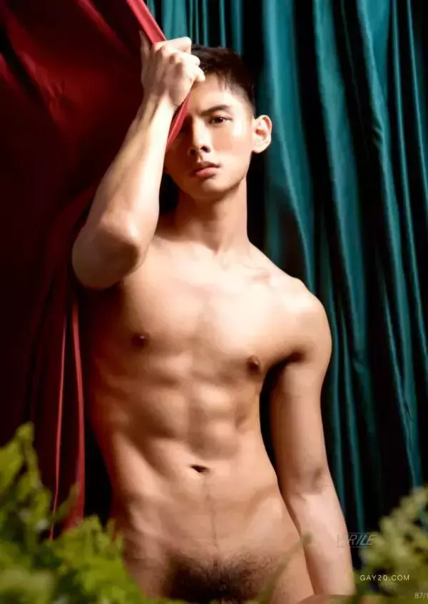 Virile no.46 (ebook + video)