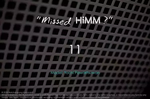 HiMM-11