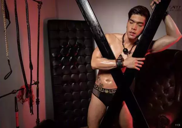 VIRILE 23