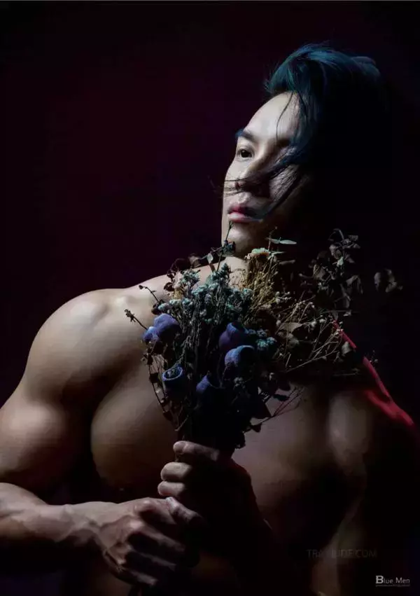 VIRILE 11