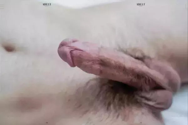 ADULT 20 | Green [ Ebook+Video Cum ]