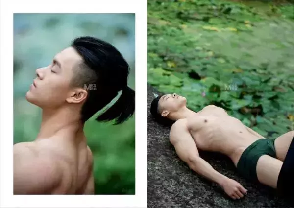 Virile no.05 (ebook + video)