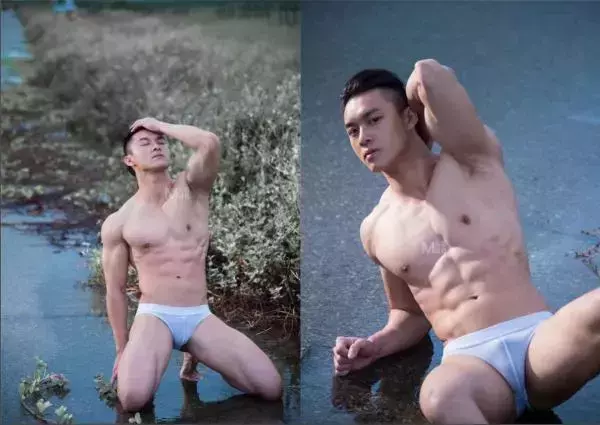 Virile no.05 (ebook + video)