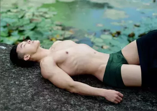 Virile no.05 (ebook + video)