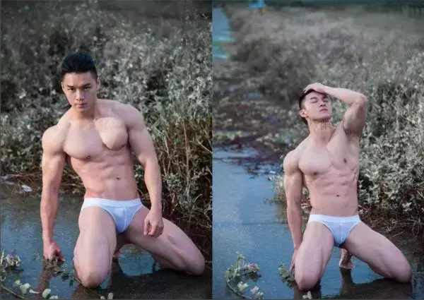 Virile no.05 (ebook + video)