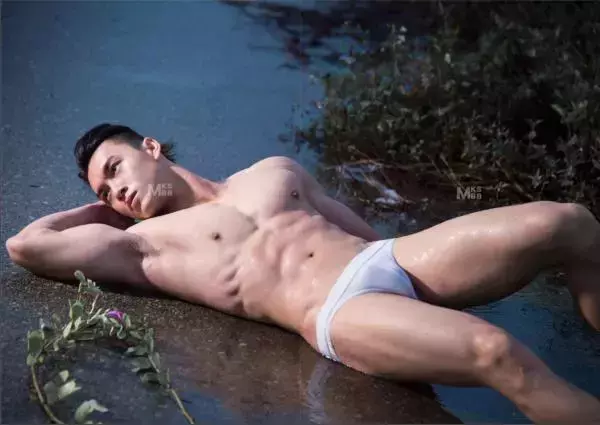 Virile no.05 (ebook + video)