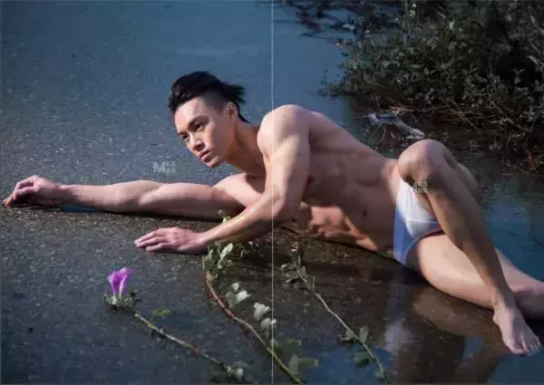 Virile no.05 (ebook + video)