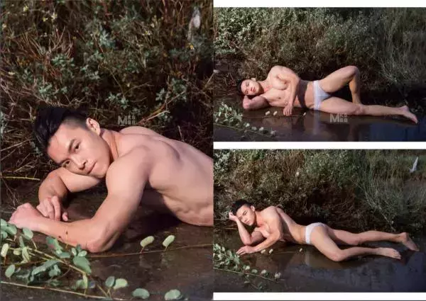 Virile no.05 (ebook + video)