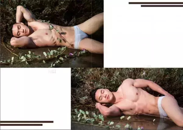 Virile no.05 (ebook + video)
