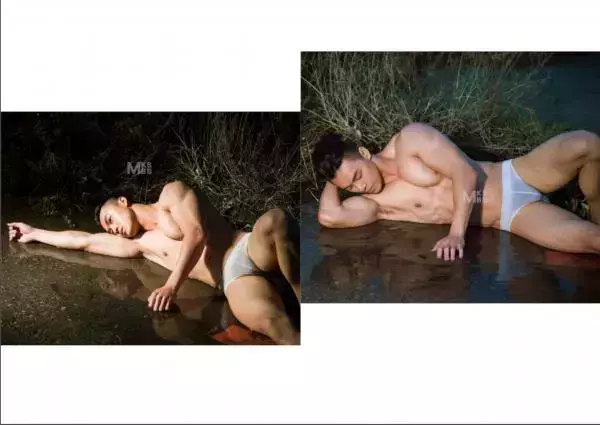 Virile no.05 (ebook + video)