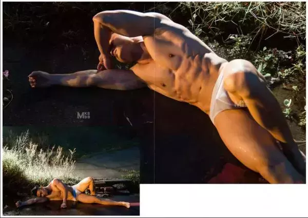 Virile no.05 (ebook + video)