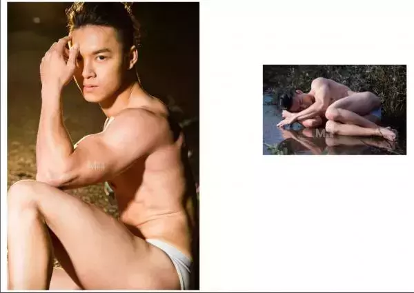 Virile no.05 (ebook + video)