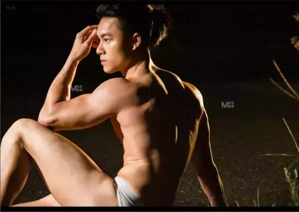 Virile no.05 (ebook + video)