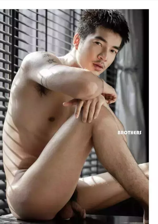 Brothers Vol.33 | Parn