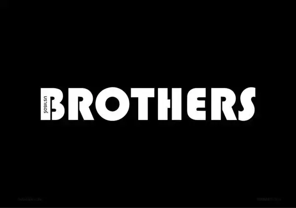 Brothers Vol.34
