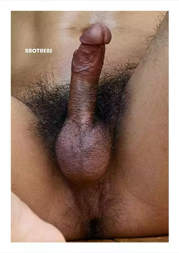 Brothers Vol.34