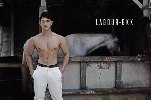 LABOUR BKK 02 [ Ebook &amp; Video ]