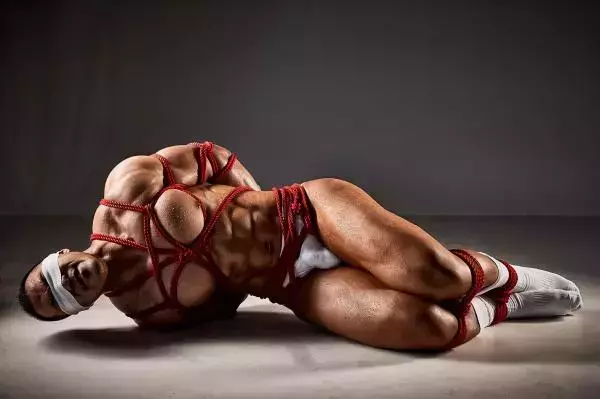 Body Builder