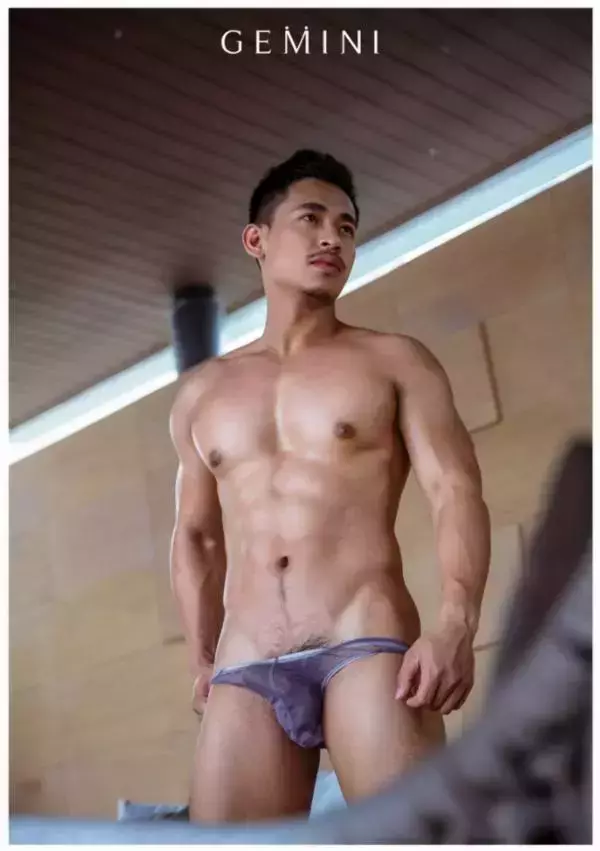 Gemini 06 | Ball Sunan Wangwan