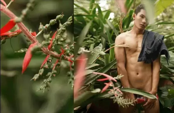 Homo Guy 02 | Young Boy Red Power