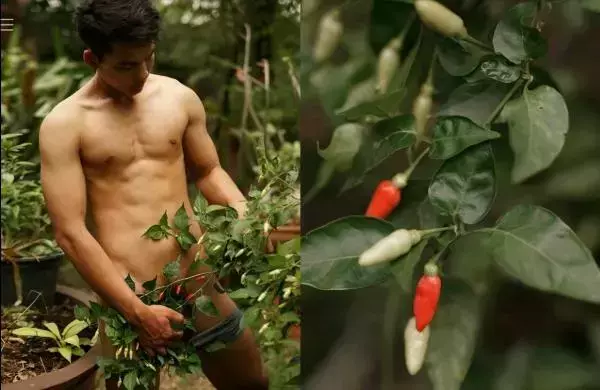 Homo Guy 02 | Young Boy Red Power