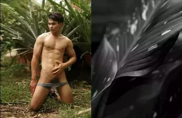 Homo Guy 02 | Young Boy Red Power