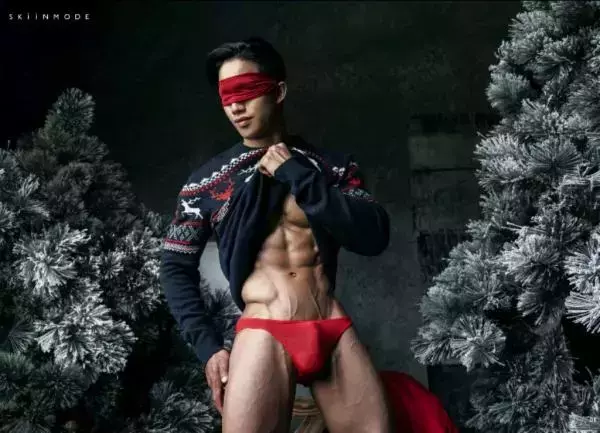 The Pine Forest | Special Christmas Collection