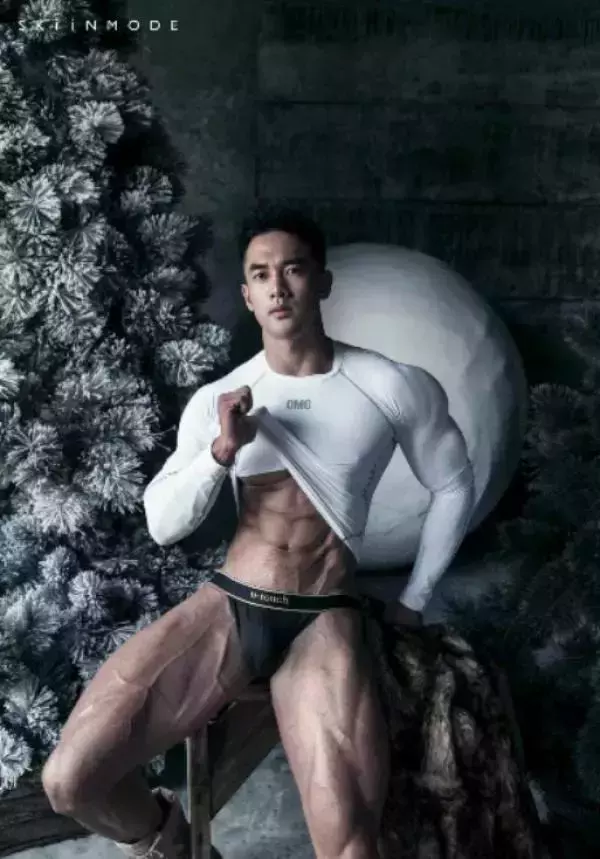 The Pine Forest | Special Christmas Collection