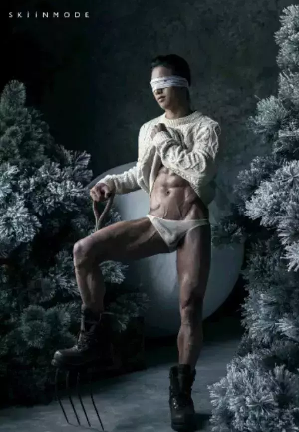 The Pine Forest | Special Christmas Collection