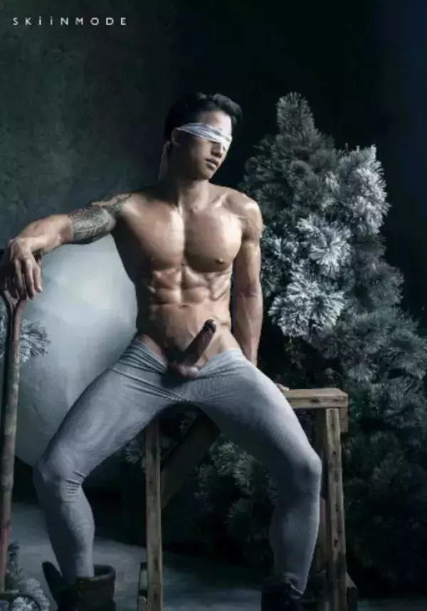 The Pine Forest | Special Christmas Collection