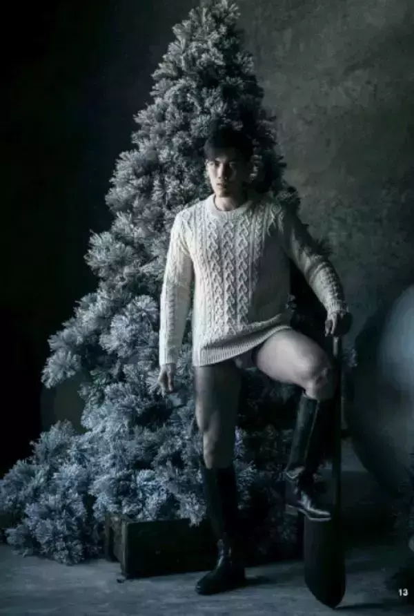 The Pine Forest | Special Christmas Collection