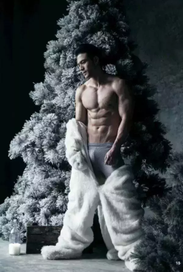 The Pine Forest | Special Christmas Collection