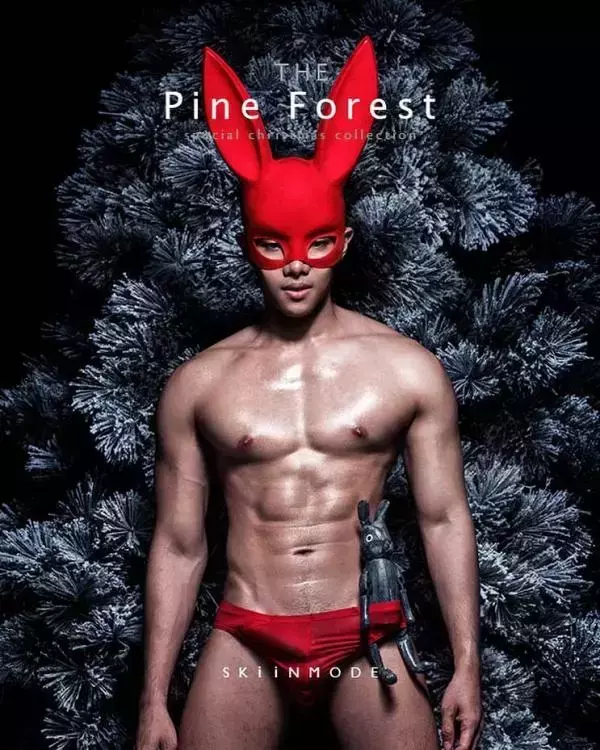 The Pine Forest | Special Christmas Collection