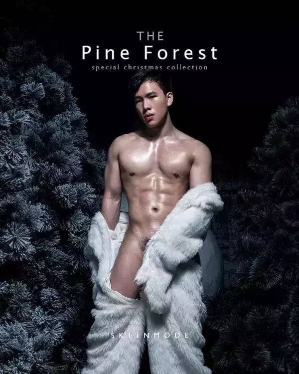 The Pine Forest | Special Christmas Collection