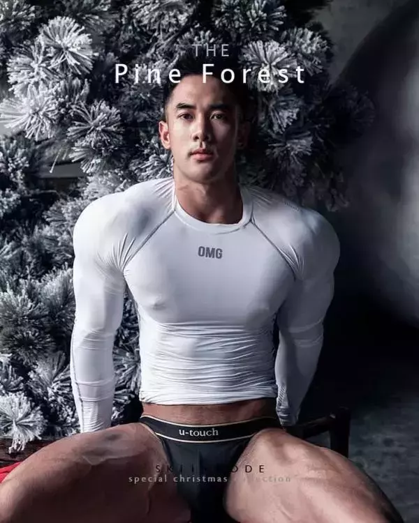 The Pine Forest | Special Christmas Collection