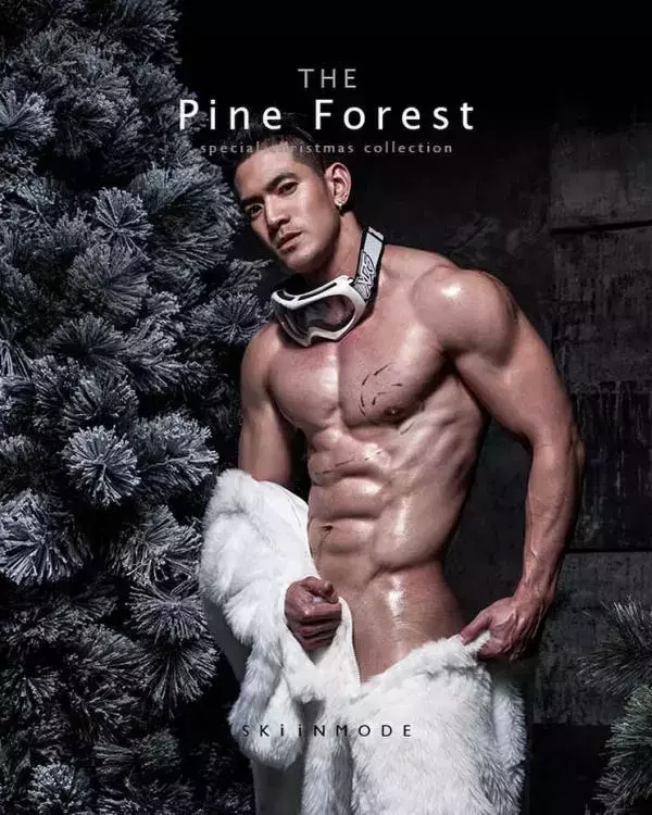 The Pine Forest | Special Christmas Collection
