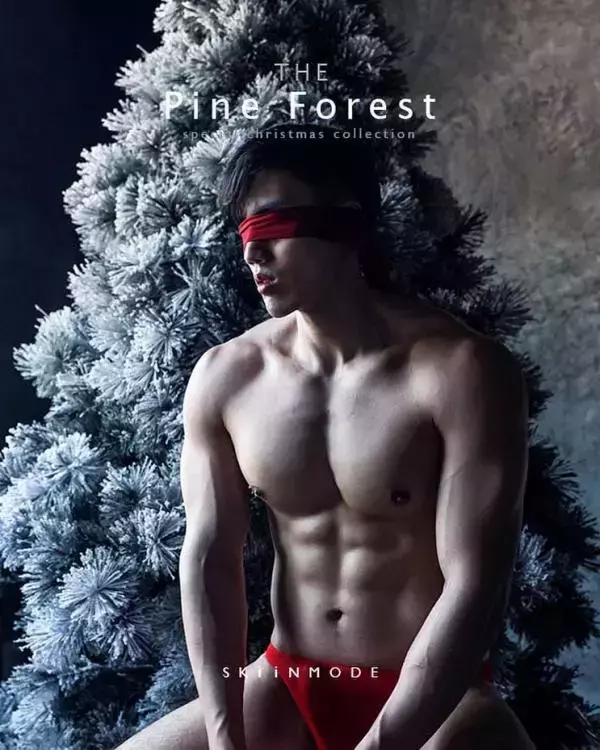 The Pine Forest | Special Christmas Collection