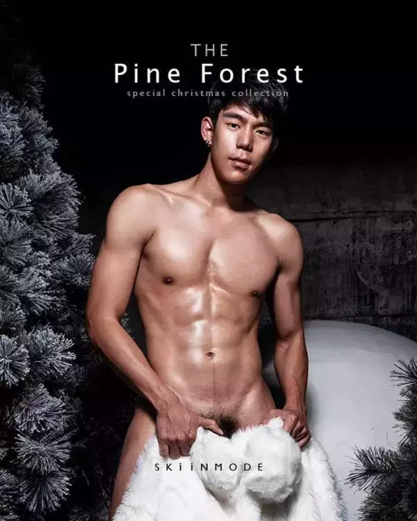 The Pine Forest | Special Christmas Collection