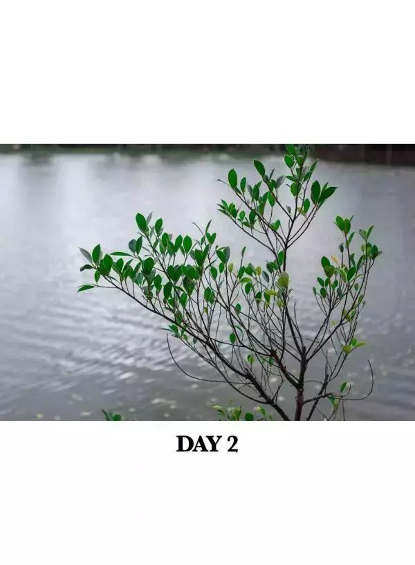 REPICK 01 - Earth Woraphong
